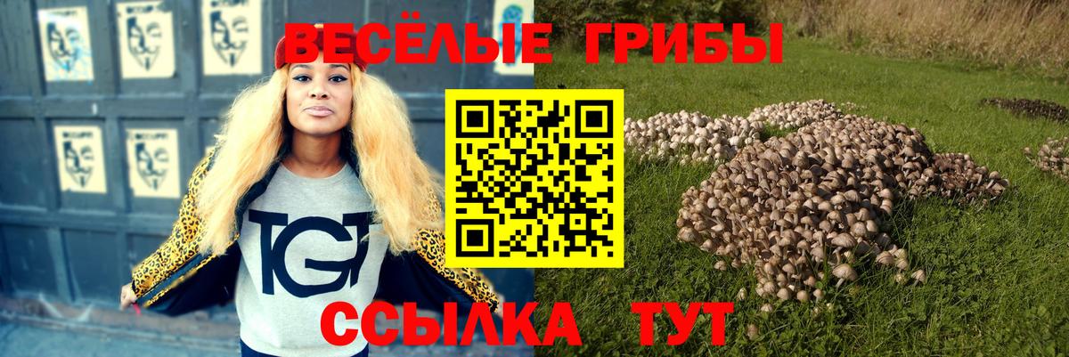 Барнаул  Галлюциногенные грибы Magic Shrooms  Вход с VPN  Псилоцибиновые грибы Cubensis 